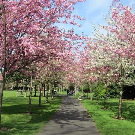 4 & South Homestay Homestay Dublin